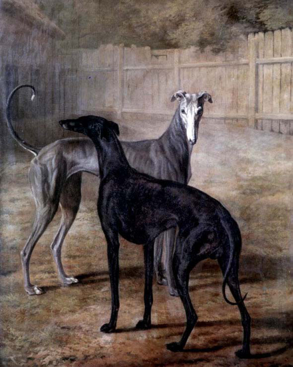 Rolla and Portia